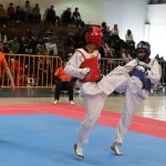 Celebran en Torreón estatal de Taekwondo.