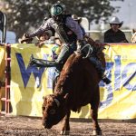 Jinetes Coahuilenses Representarán A México En Las Finales Mundiales Del Rodeo High School 2023