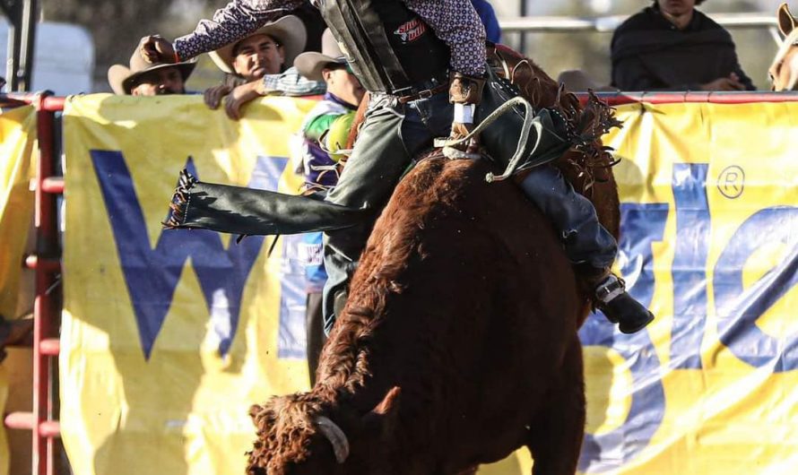 Jinetes Coahuilenses Representarán A México En Las Finales Mundiales Del Rodeo High School 2023